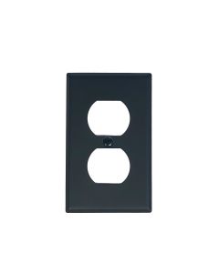 Duplex Receptacle Wall Plate