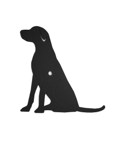 Dog Shutter Holdback