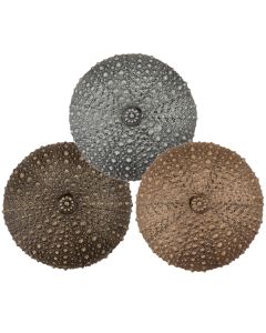 Sea Urchin Cabinet Knob