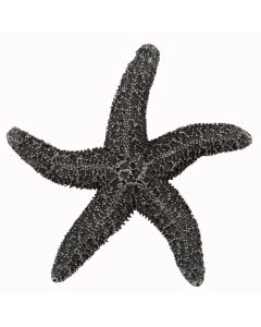 Antique Pewter Natural Starfish Cabinet Knob