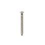 Stainless 1-3/4" x 12 Pyramid Head Wood Screw, Box 100