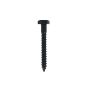 Black Stainless 2" x 1/4 Hex Head Lag Screw, Box 25