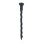 Black Stainless 4" x 3/8 Hex Head Lag Screw, Box 25