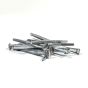 Hinge Nail-4" 20d-1 Pound