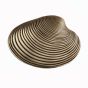 Antique Brass Clam Shell Cabinet Knob