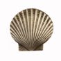 Antique Brass Large Scallop Cabinet Knob