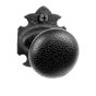 Large Symmetrical Warwick Push Plate