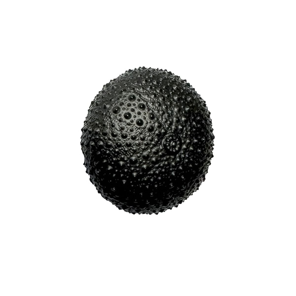 Acorn Manufacturing DPDPP Artisan Collection Sand Dollar Knob, Antique Pewter - View #5