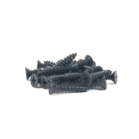 Black Stainless 1" x 10 Flat Head Wood Screws