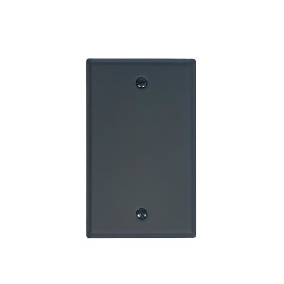Blank Wall Plate