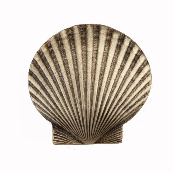 Antique Brass Large Scallop Cabinet Knob